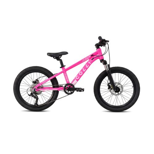 BICICLETA COLLI DUBLIN PRO - 20